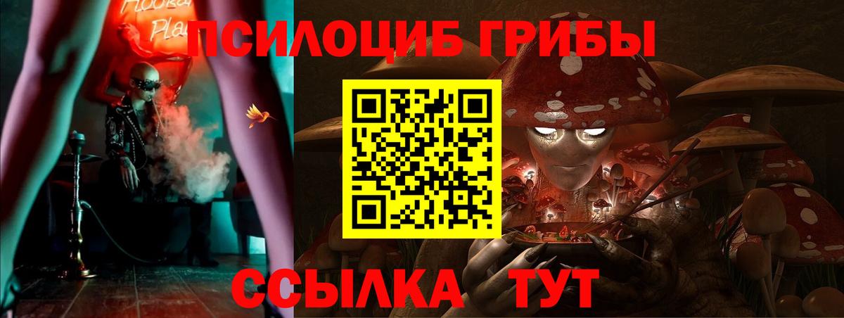 Галлюциногенные грибы Psilocybine cubensis  Вход с VPN  цены наркотик  Кызыл 